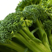 Brócolis pode reduzir o avanço da artrose