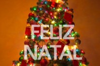 22ª – FELIZ NATAL!